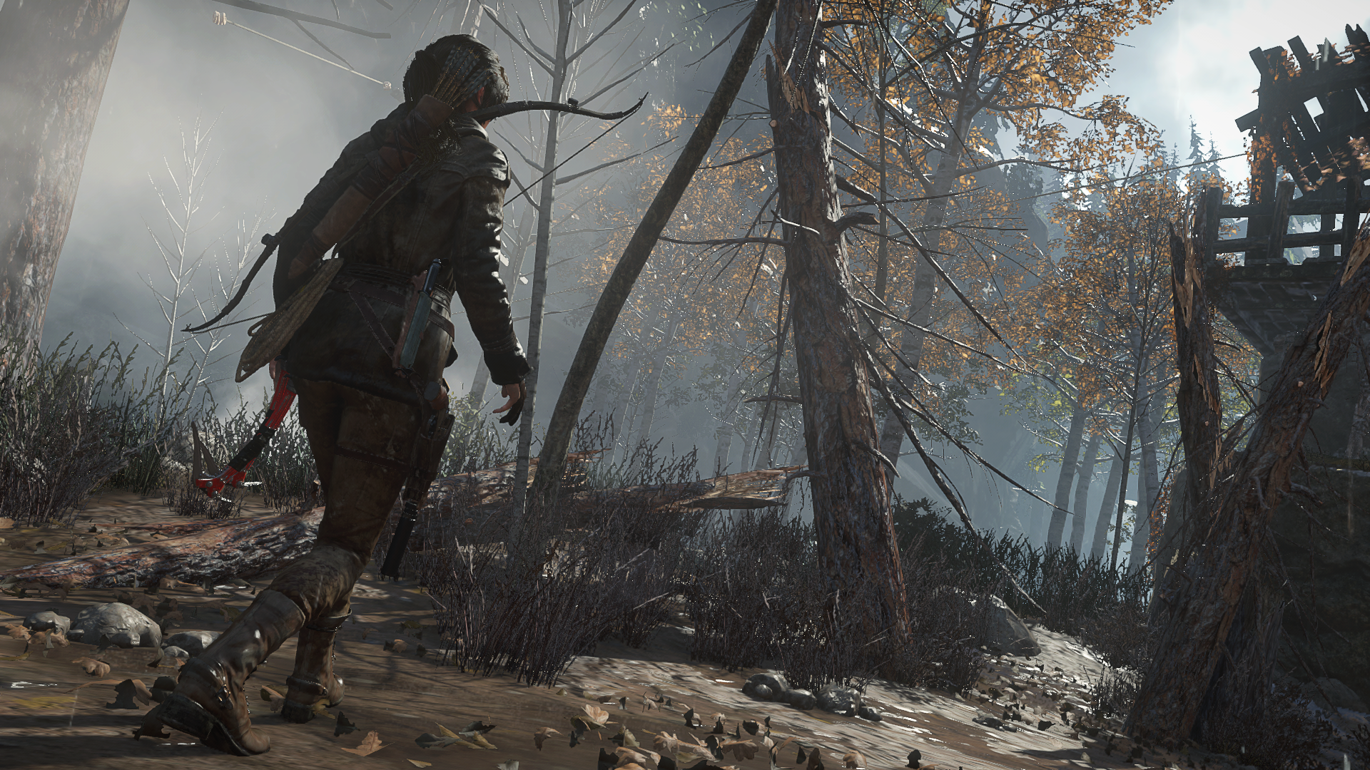ROTTR-Lara-in-the-Forest