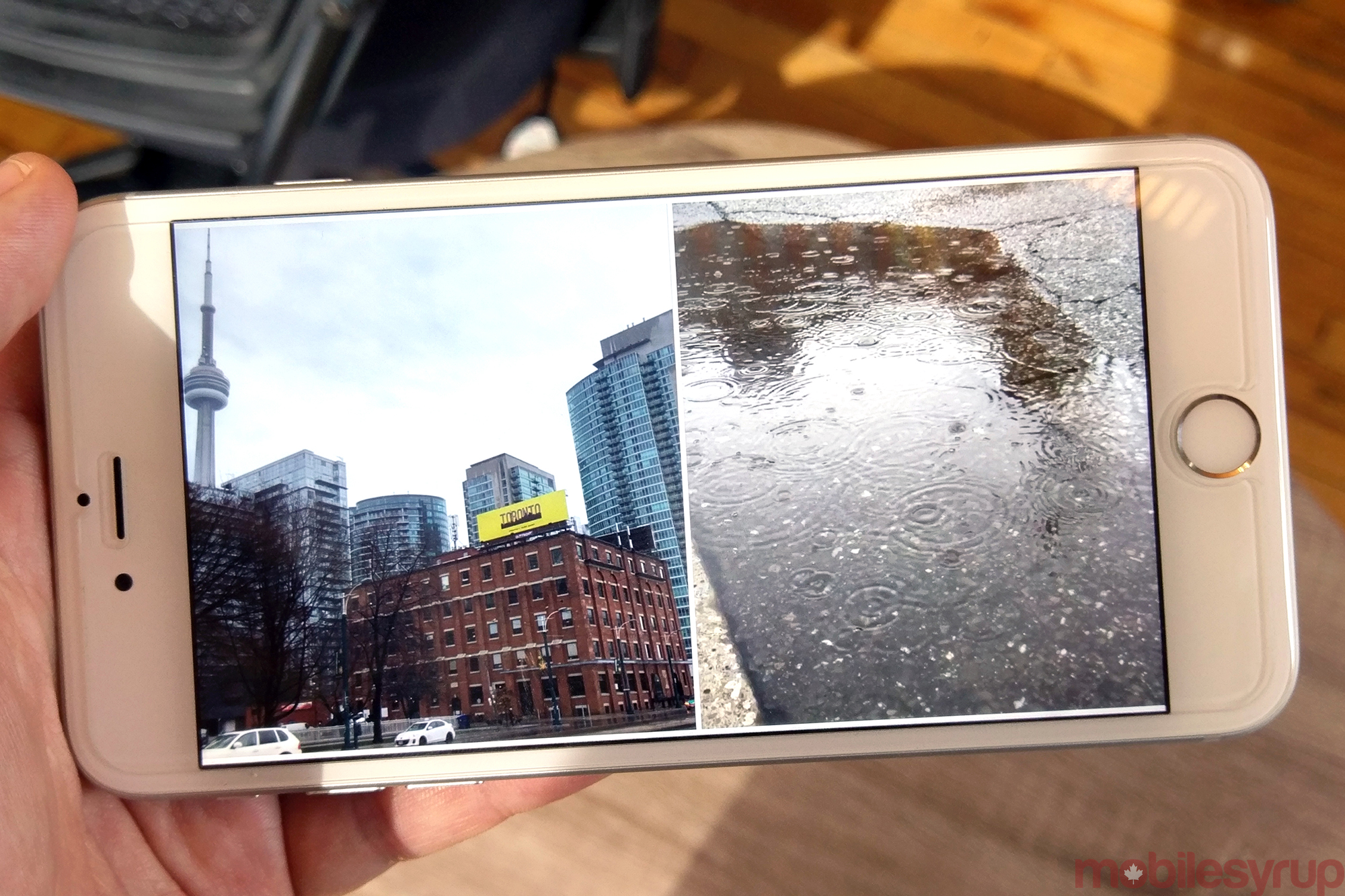 Google's new app will turn your iOS live photos into GIFs ...
