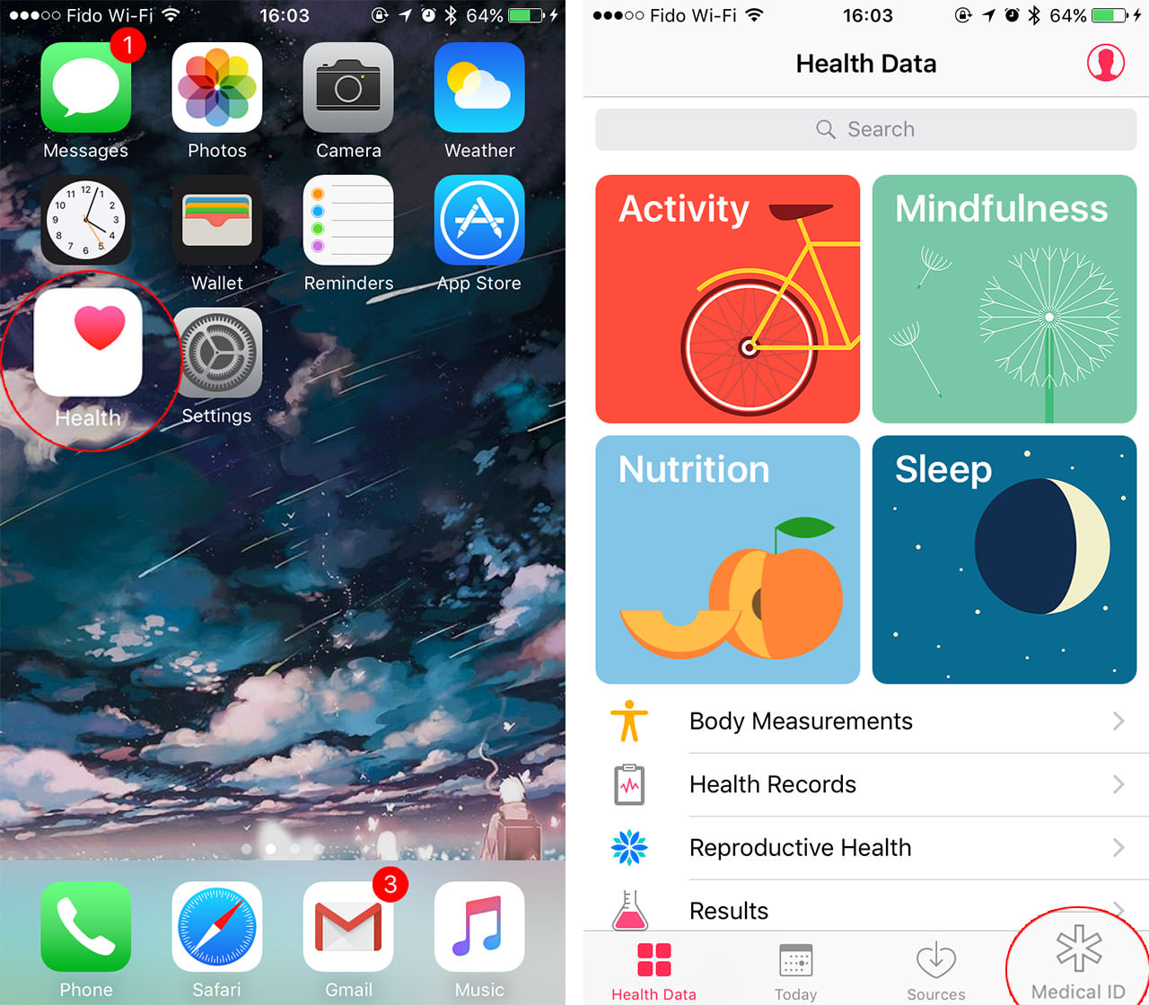 Health app on iOS