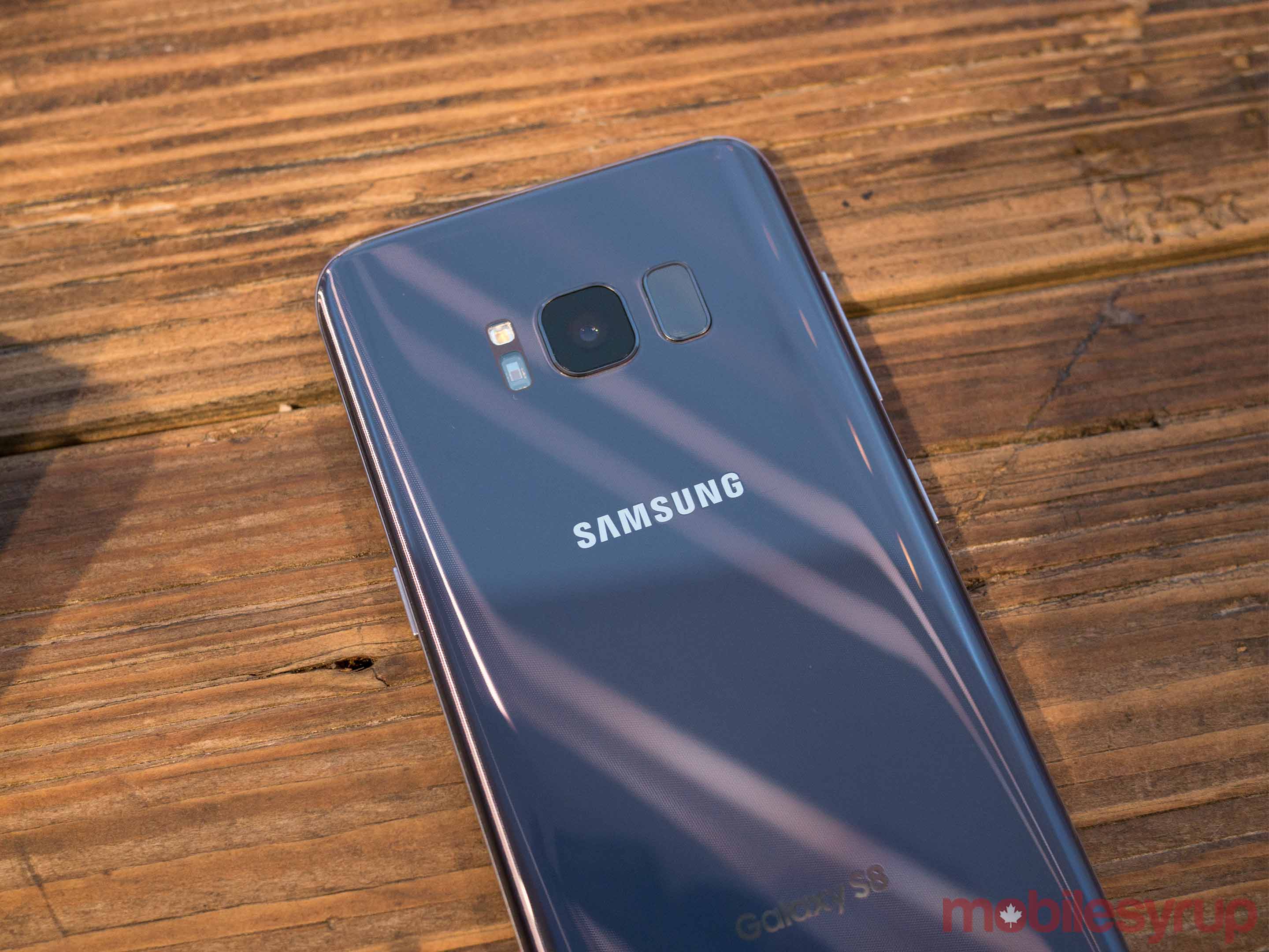 S8 back view