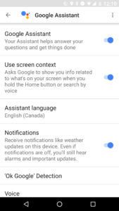 Google Assistant Notifcations