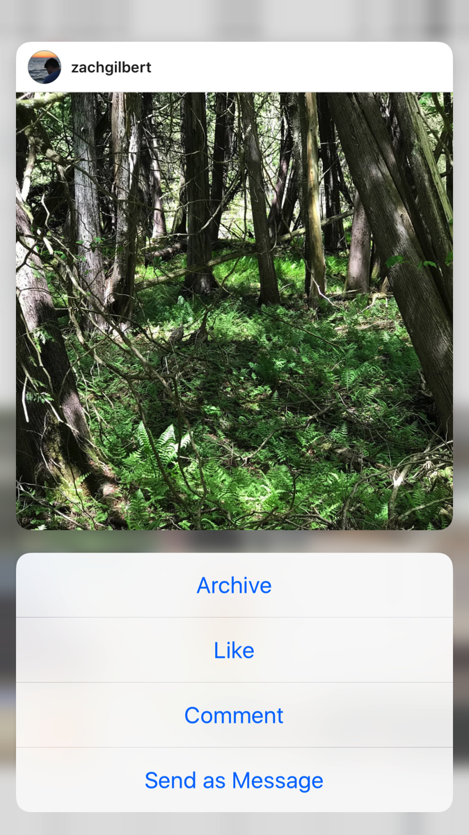 image of instagram on a phone