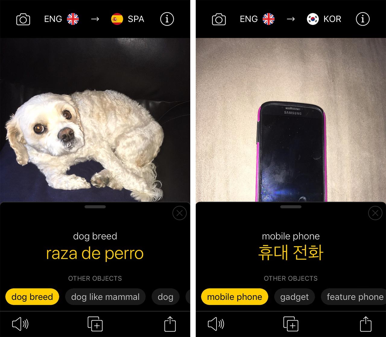 Snap and Translate app 