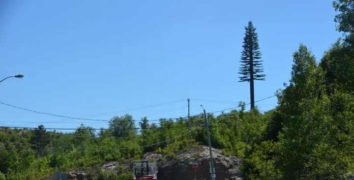 Rogers Expands Lte In Sudbury On With Cell Tower Disguised As Pine Tree