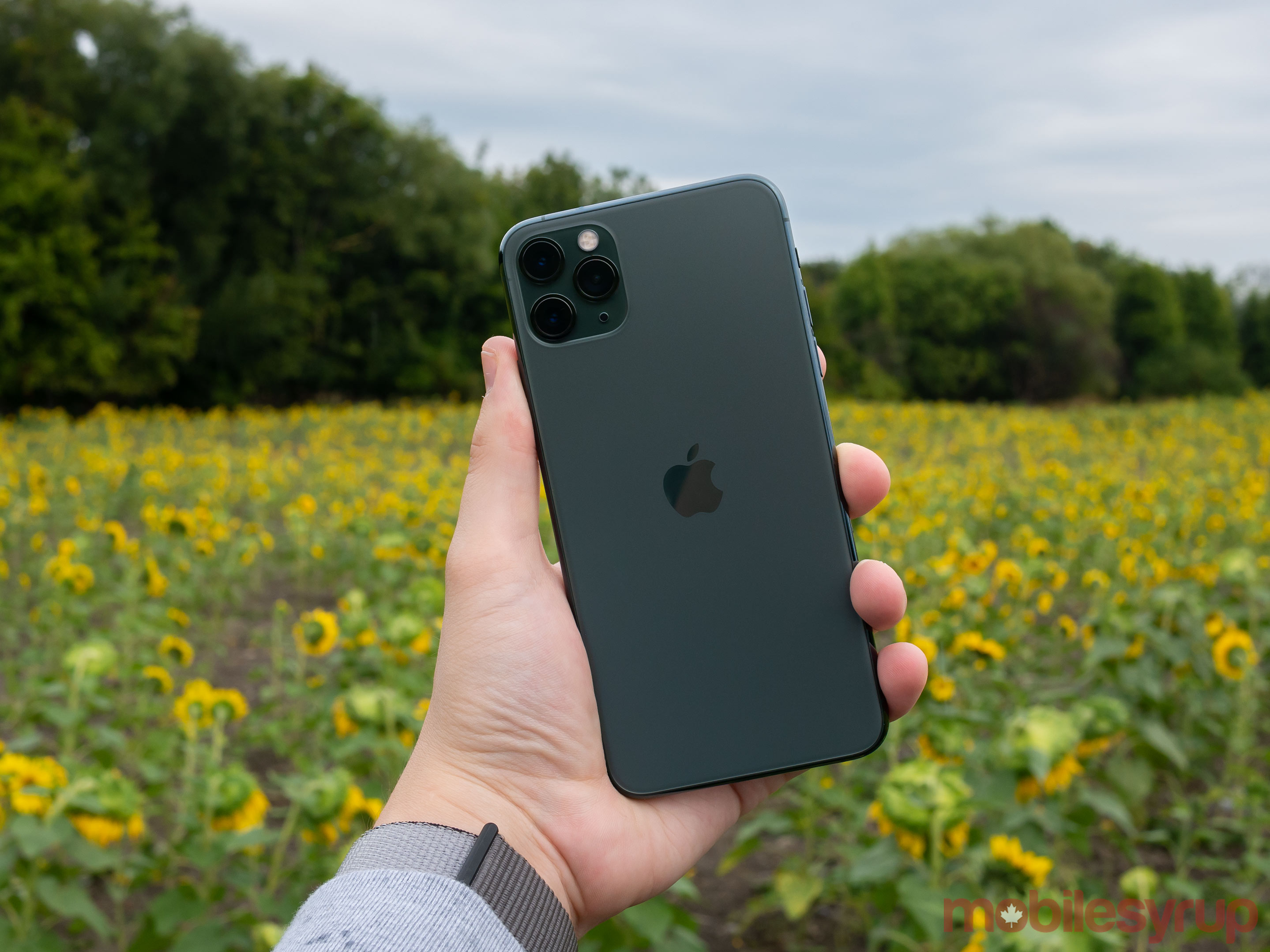 Green iPhone 11 Pro Max