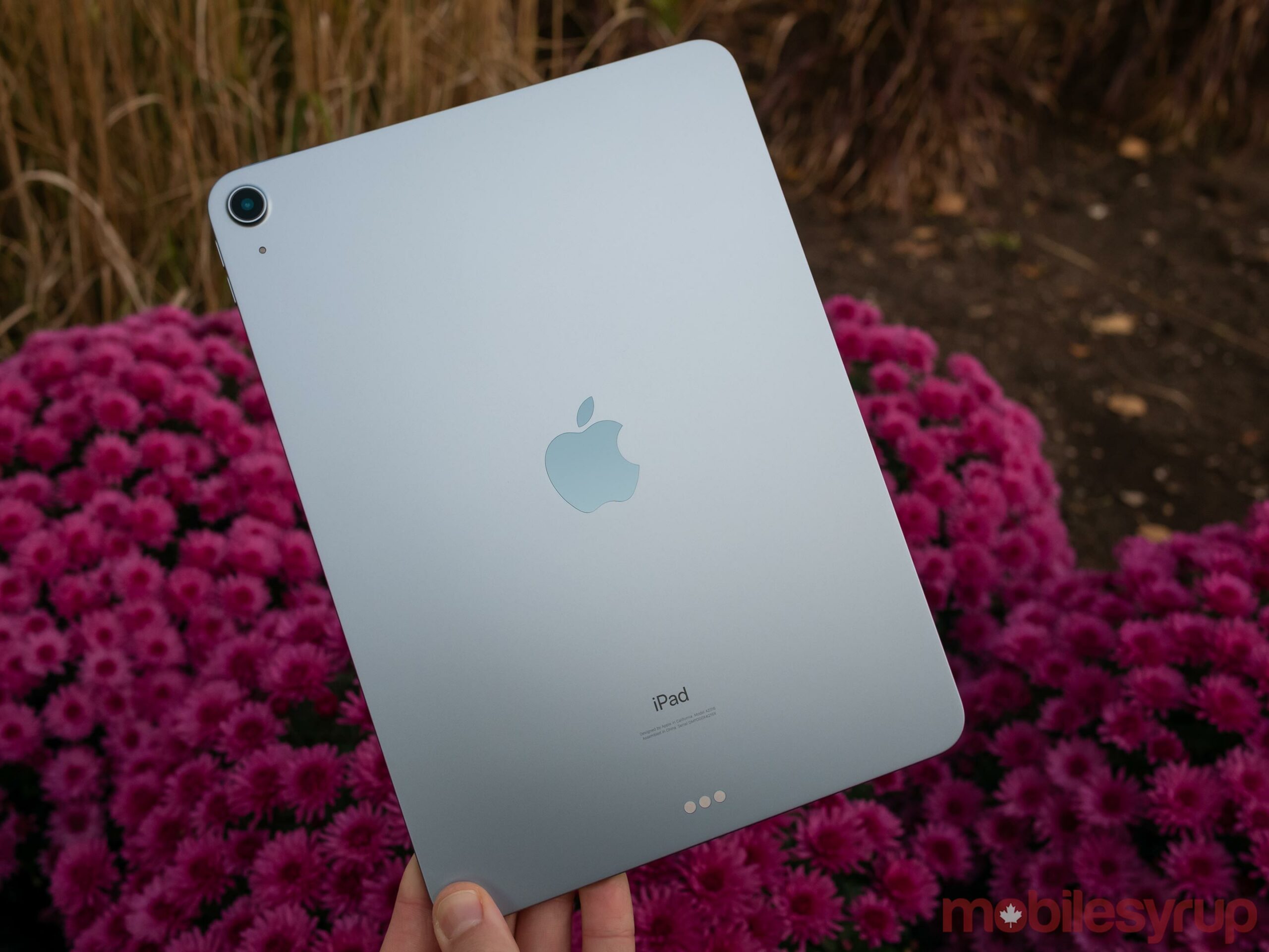Back of iPad Air 