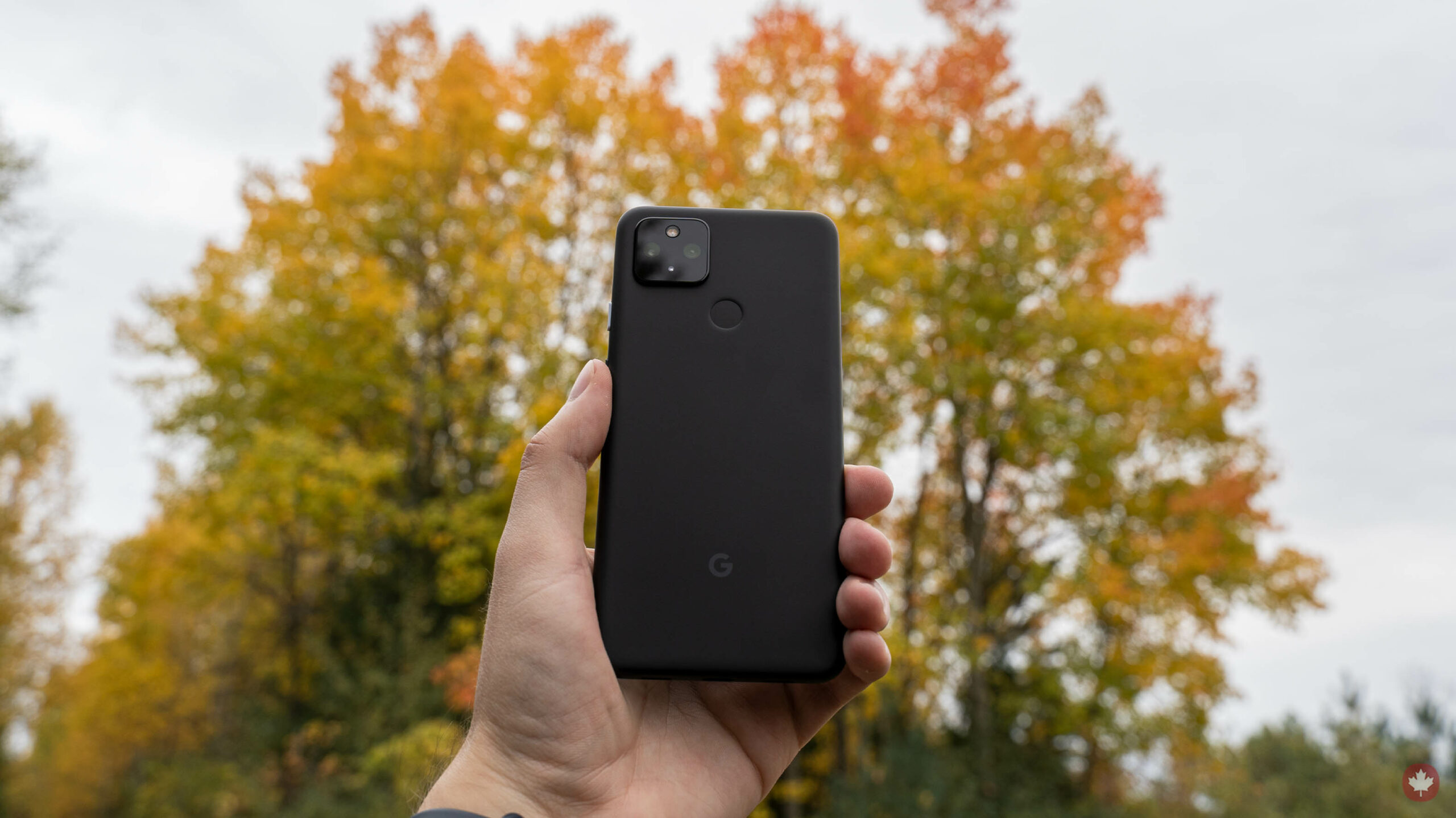 Pixel 4A 5G Header Scaled