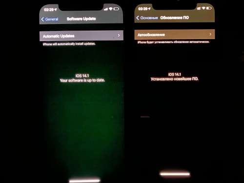 Apple iPhone 12 display issue 