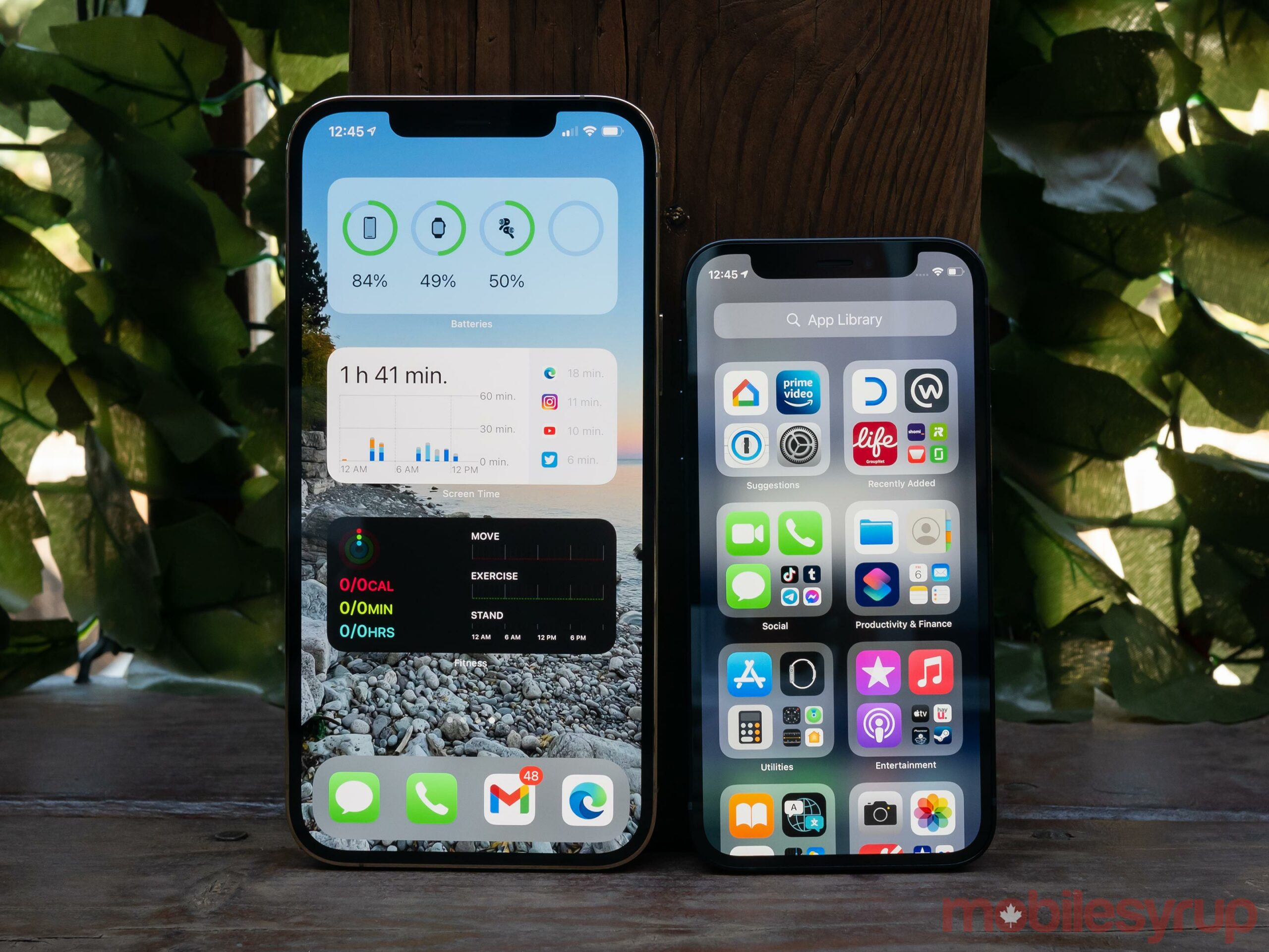 iPhone 12 Pro Max vs iPhone 12 mini