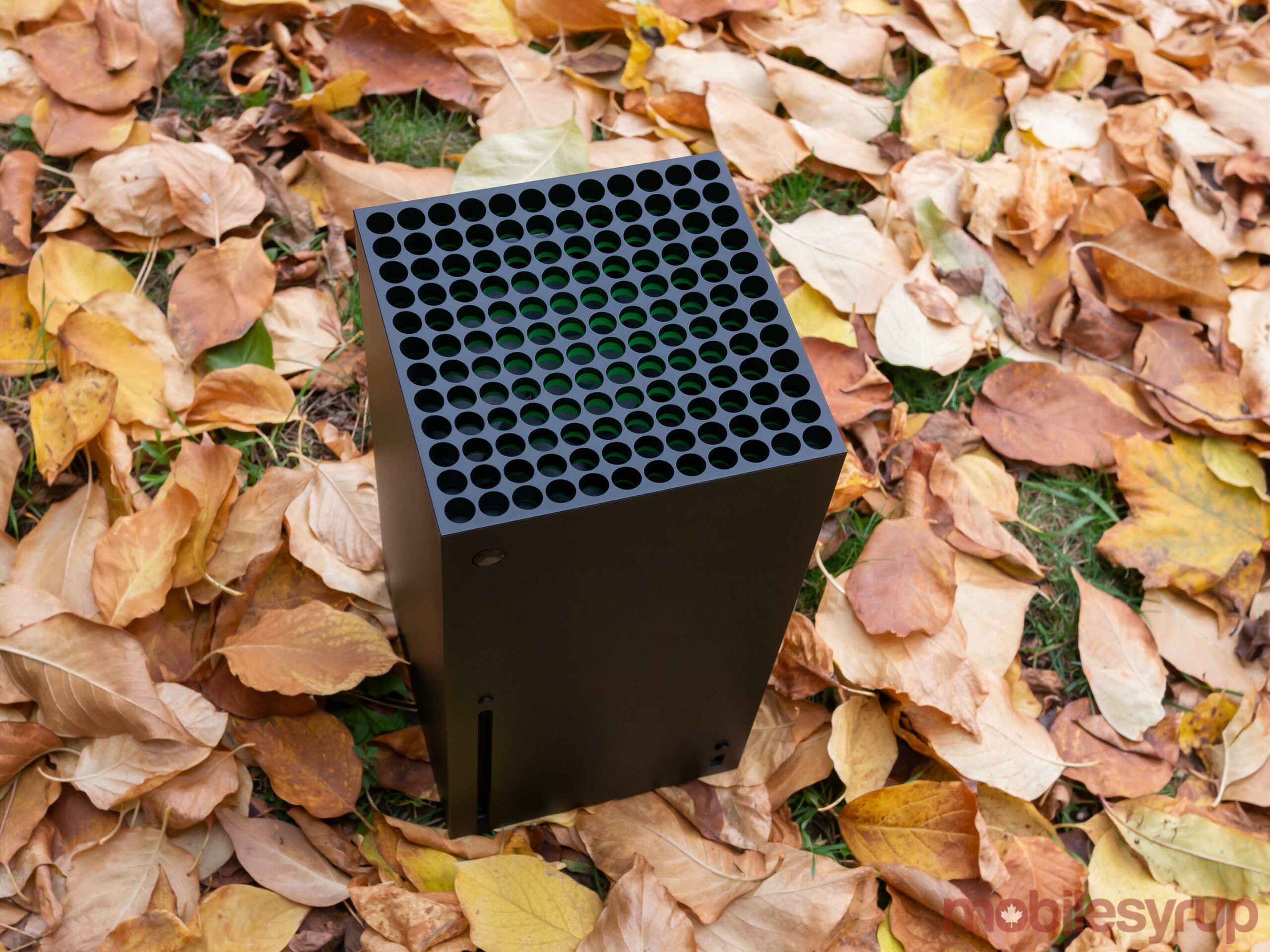 Xbox Series X in leaves
