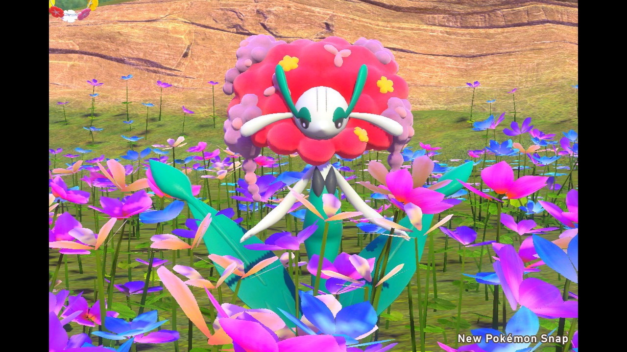 Florges Pokemon Snap 