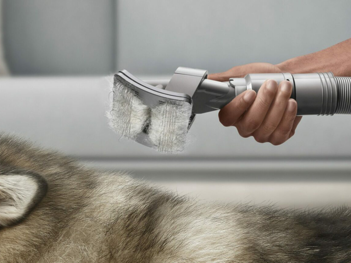 Dyson Pet Grooming 
